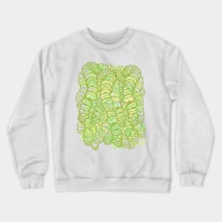 Crassula Marnieriana Crewneck Sweatshirt